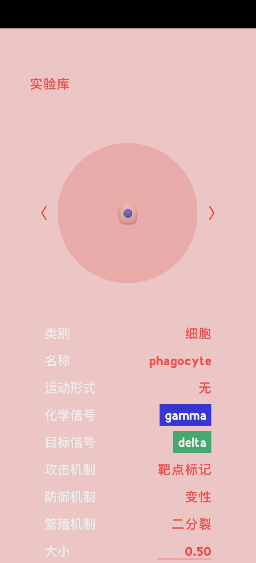 微观