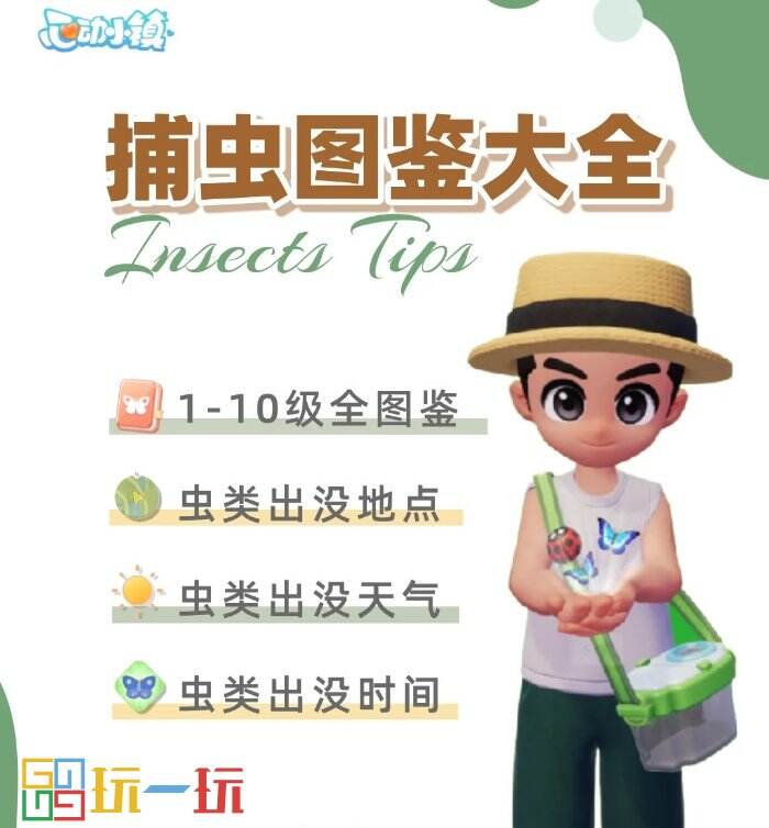 心动小镇怎么捕捉昆虫 捕虫攻略及虫类图鉴分布图