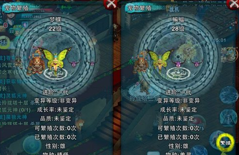 忘仙灵尊带什么宠物