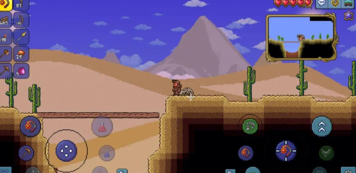 泰拉瑞亚玩完了干什么