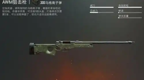 绝地求生有哪些单发狙击枪