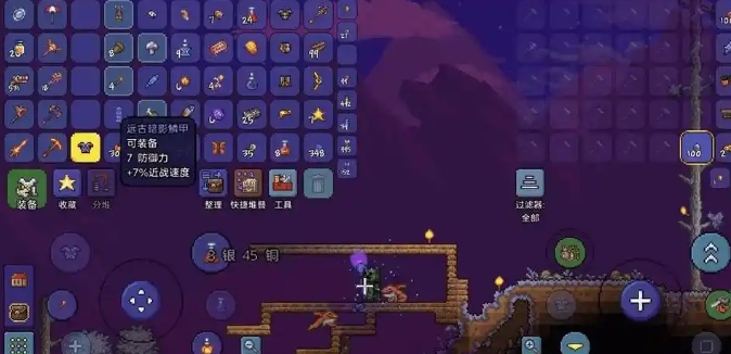 泰拉瑞亚如何隐藏自己的盔甲