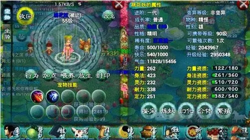 忘仙怎么得经验丹